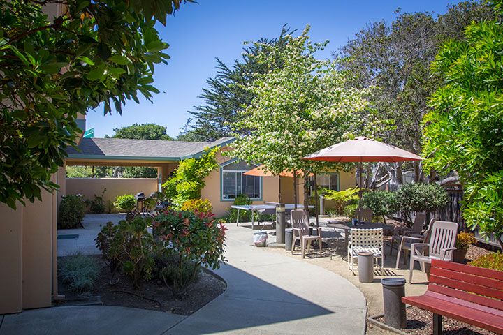 Manzanita, Monterey